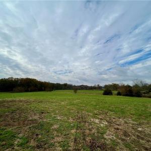 Photo #9 of 1665 Bill Lambert, Bear Creek, NC 23.1 acres