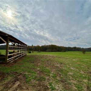 Photo #14 of 1665 Bill Lambert, Bear Creek, NC 23.1 acres