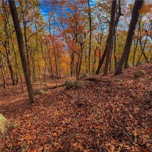 Photo #12 of 1920 Sierra Trace, Denton, NC 3.6 acres