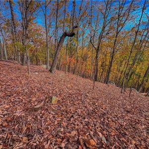 Photo #9 of 1920 Sierra Trace, Denton, NC 3.6 acres