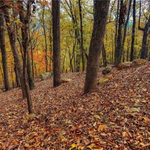 Photo #10 of 1920 Sierra Trace, Denton, NC 3.6 acres