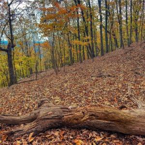 Photo #8 of 1920 Sierra Trace, Denton, NC 3.6 acres