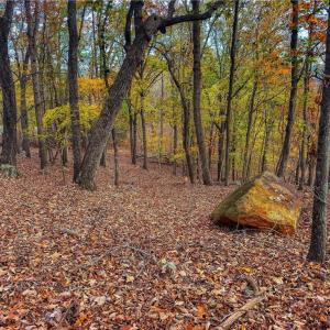Photo #6 of 1920 Sierra Trace, Denton, NC 3.6 acres