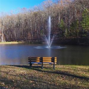 Community pond with walking trails.