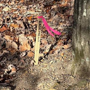 Sides of easement has been marked.