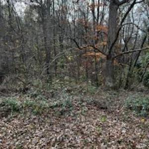 Photo #2 of 4430 Ben, Walkertown, NC 1.0 acres