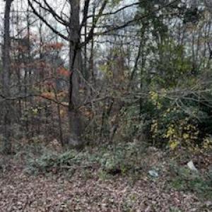 Photo #3 of 4430 Ben, Walkertown, NC 1.0 acres