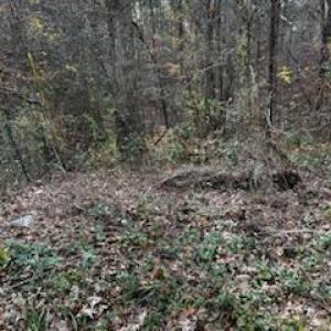 Photo #1 of 4430 Ben, Walkertown, NC 1.0 acres
