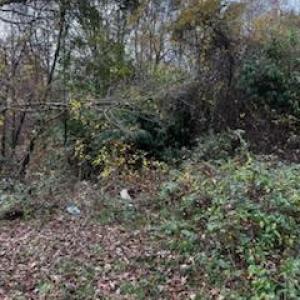 Photo #4 of 4430 Ben, Walkertown, NC 1.0 acres