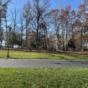 Photo #2 of 123 Whitley Mill, New London, NC 0.7 acres
