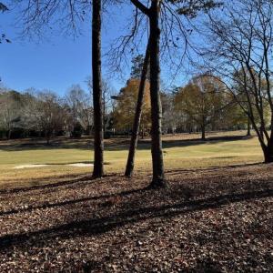 Photo #6 of 123 Whitley Mill, New London, NC 0.7 acres