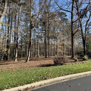 Photo #1 of 123 Whitley Mill, New London, NC 0.7 acres