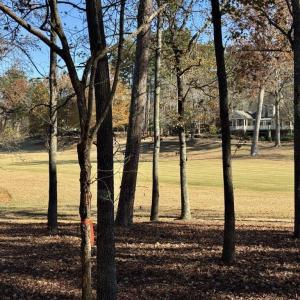 Photo #5 of 123 Whitley Mill, New London, NC 0.7 acres