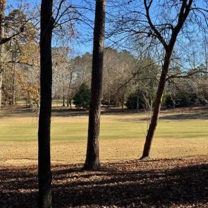 Photo #4 of 123 Whitley Mill, New London, NC 0.7 acres