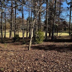 Photo #8 of 123 Whitley Mill, New London, NC 0.7 acres
