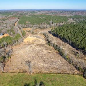 Photo #6 of 1000 Tarry Church, Star, NC 25.7 acres