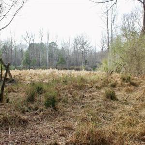 Photo #12 of 1000 Tarry Church, Star, NC 25.7 acres