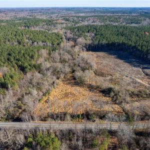 Photo #7 of 1000 Tarry Church, Star, NC 25.7 acres