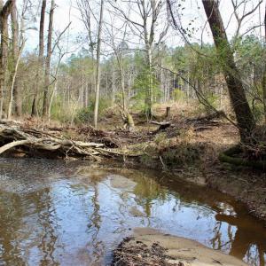 Photo #5 of 1000 Tarry Church, Star, NC 25.7 acres