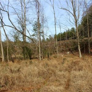 Photo #14 of 1000 Tarry Church, Star, NC 25.7 acres