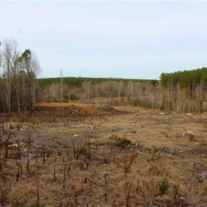 Photo #18 of 1000 Tarry Church, Star, NC 25.7 acres