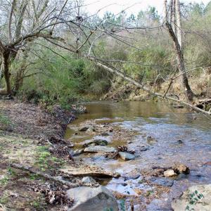 Photo #11 of 1000 Tarry Church, Star, NC 25.7 acres