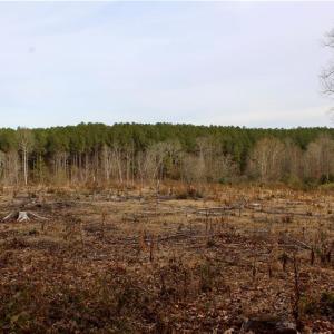 Photo #19 of 1000 Tarry Church, Star, NC 25.7 acres
