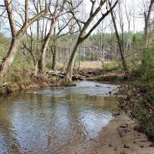 Photo #4 of 1000 Tarry Church, Star, NC 25.7 acres