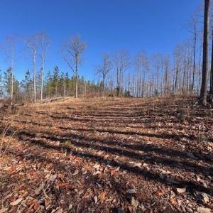 Photo #3 of Neely, Asheboro, NC 11.0 acres