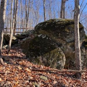 Photo #5 of Neely, Asheboro, NC 11.0 acres