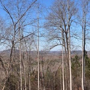 Photo #4 of Neely, Asheboro, NC 11.0 acres