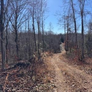 Photo #8 of Neely, Asheboro, NC 11.0 acres