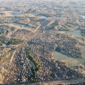 Photo #6 of 1500 Wiley Lewis, Greensboro, NC 188.8 acres