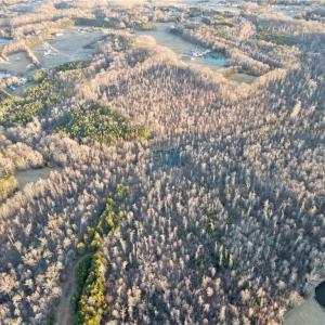 Photo #7 of 1500 Wiley Lewis, Greensboro, NC 188.8 acres
