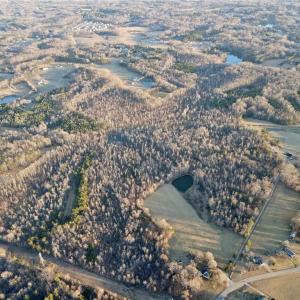 Photo #5 of 1500 Wiley Lewis, Greensboro, NC 188.8 acres