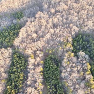 Photo #10 of 1500 Wiley Lewis, Greensboro, NC 188.8 acres