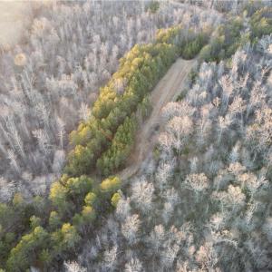 Photo #4 of 1500 Wiley Lewis, Greensboro, NC 188.8 acres