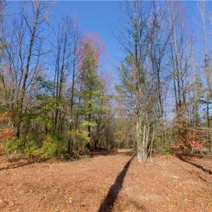 Photo #13 of 215 Georgie, Broadway, NC 1.5 acres