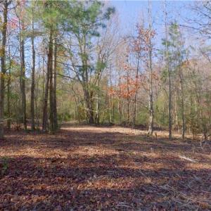 Photo #17 of 215 Georgie, Broadway, NC 1.5 acres
