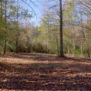 Photo #16 of 215 Georgie, Broadway, NC 1.5 acres