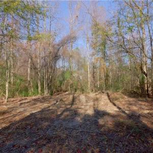Photo #12 of 215 Georgie, Broadway, NC 1.5 acres