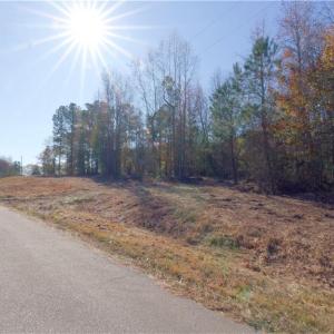 Photo #9 of 215 Georgie, Broadway, NC 1.5 acres