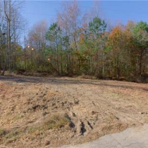 Photo #10 of 215 Georgie, Broadway, NC 1.5 acres