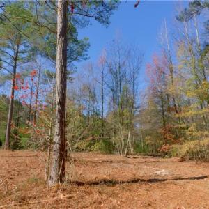 Photo #14 of 215 Georgie, Broadway, NC 1.5 acres