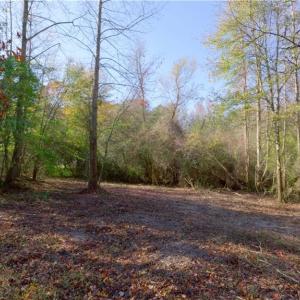 Photo #11 of 215 Georgie, Broadway, NC 1.5 acres