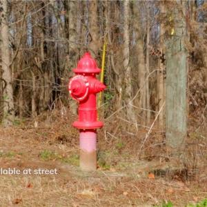 Photo #8 of 215 Georgie, Broadway, NC 1.5 acres