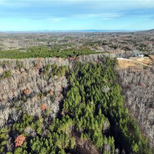 Photo #17 of Lot 2- 0 Bowen, Pinnacle, NC 7.9 acres