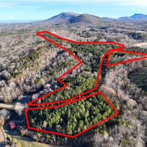 Photo #2 of Lot 4- 0 Bowen, Pinnacle, NC 38.9 acres