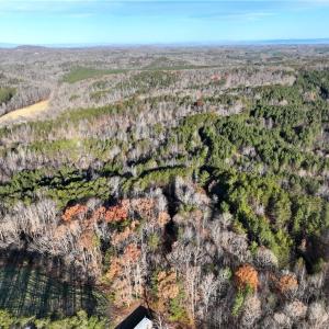 Photo #6 of Lot 4- 0 Bowen, Pinnacle, NC 38.9 acres