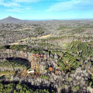 Photo #13 of Lot 4- 0 Bowen, Pinnacle, NC 38.9 acres